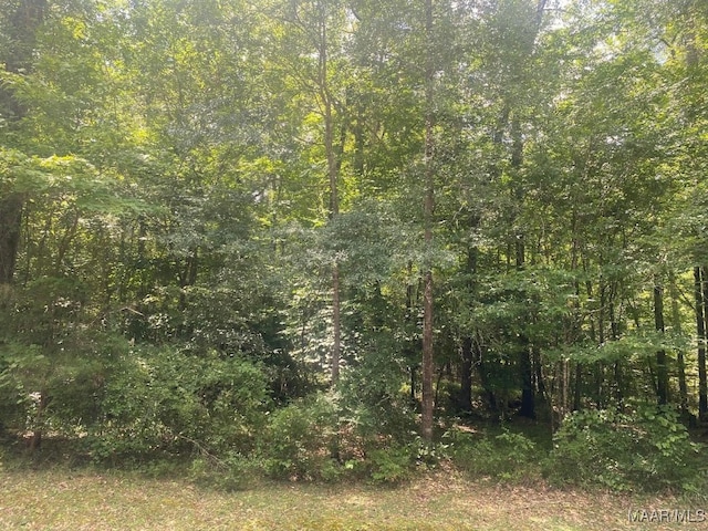 0 Turkey Trl, Wetumpka AL, 36092 land for sale