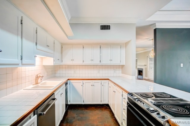 kitchen with stove, tasteful backsplash, sink, crown molding, and dishwasher