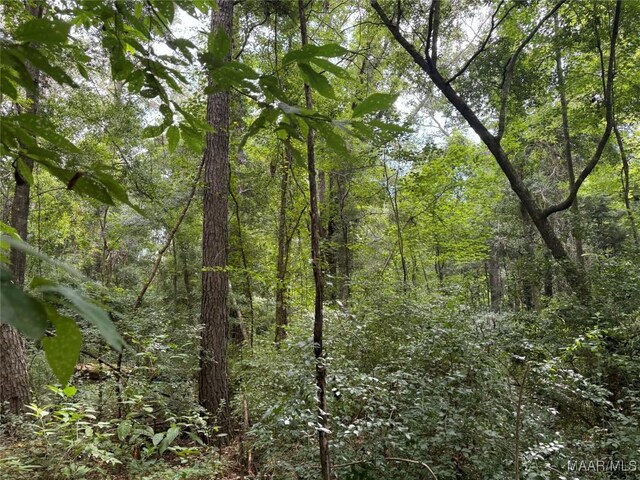 210 Ellis Rd, Glenwood, AL 36034 - photo 20