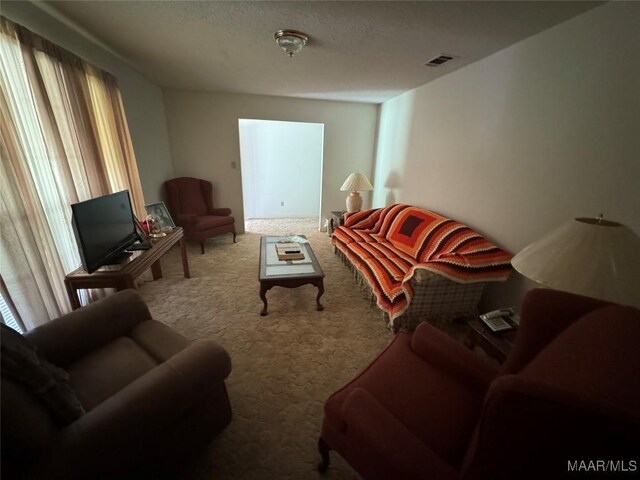 210 Ellis Rd, Glenwood, AL 36034 - photo 30