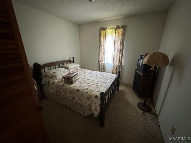 210 Ellis Rd, Glenwood, AL 36034 - photo 41