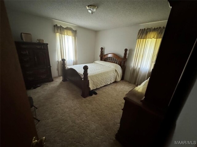 210 Ellis Rd, Glenwood, AL 36034 - photo 46