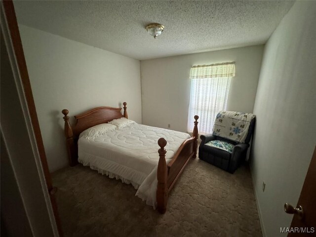 210 Ellis Rd, Glenwood, AL 36034 - photo 53