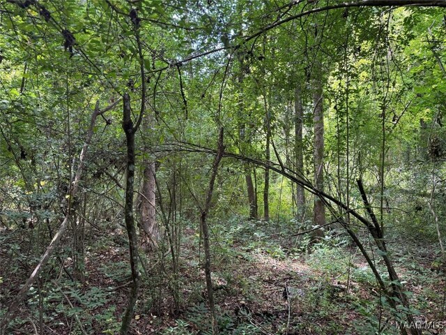 210 Ellis Rd, Glenwood, AL 36034 - photo 19