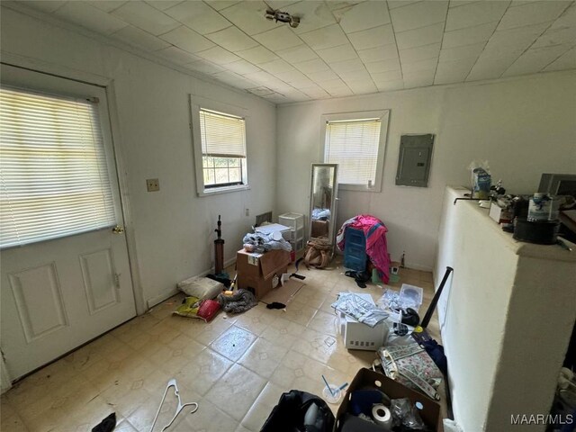 210 Ellis Rd, Glenwood, AL 36034 - photo 64