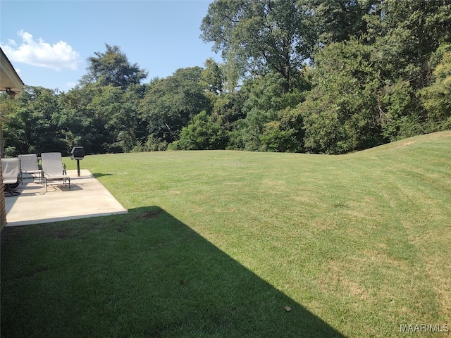 view of yard featuring a patio area