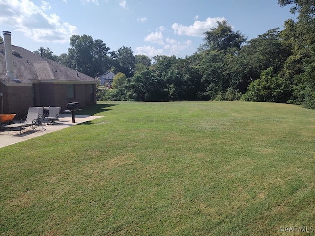 view of yard featuring a patio area