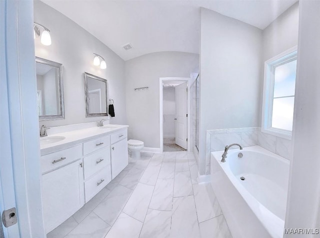 bathroom featuring vanity, toilet, and a bathing tub