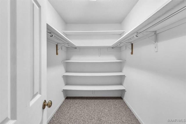 view of walk in closet