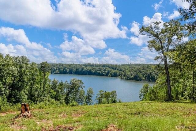1086 Riverknolle Rd, Tallassee, AL 36078 - water view with a wooded view
