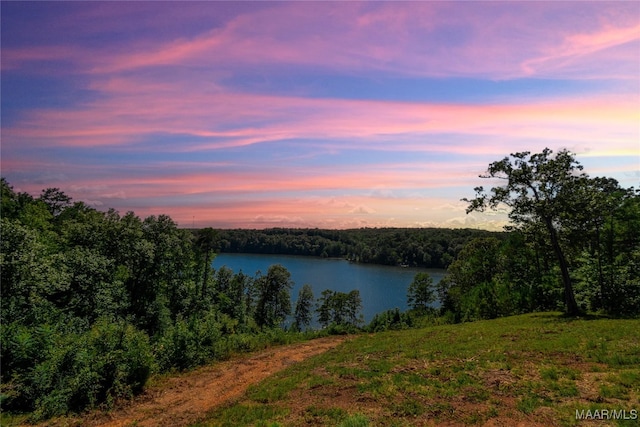 1086 Riverknolle Rd, Tallassee, AL 36078 - property view of water with a wooded view