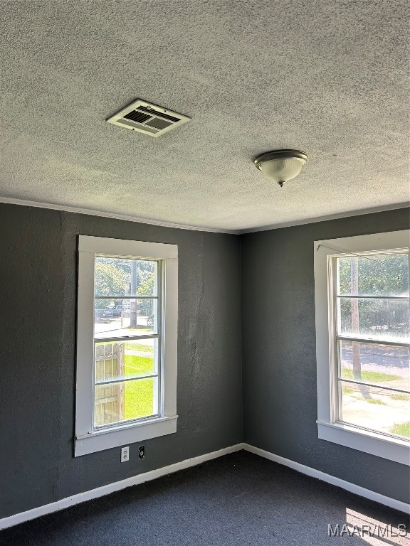 carpeted spare room featuring a textured ceiling