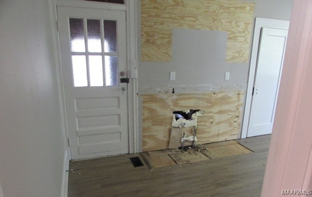 entryway featuring wood-type flooring