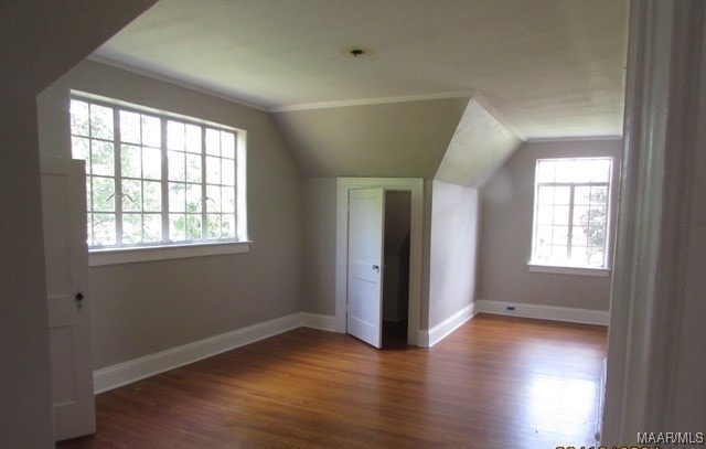 additional living space featuring lofted ceiling, a healthy amount of sunlight, and hardwood / wood-style floors