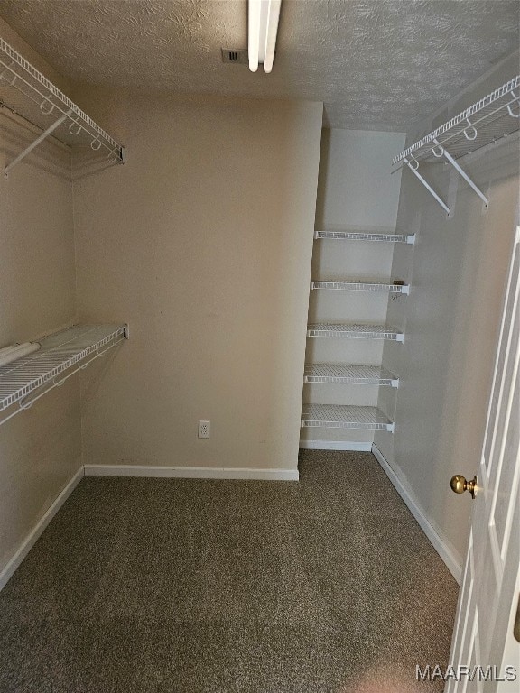 spacious closet with carpet