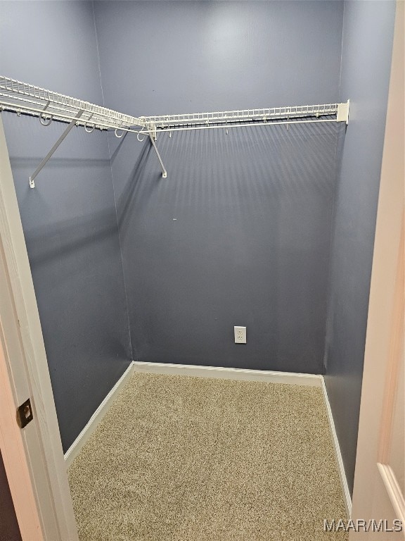 walk in closet with carpet flooring