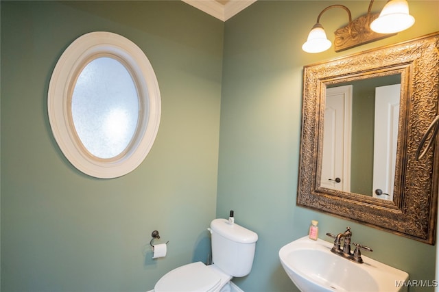 bathroom featuring toilet, sink, and crown molding