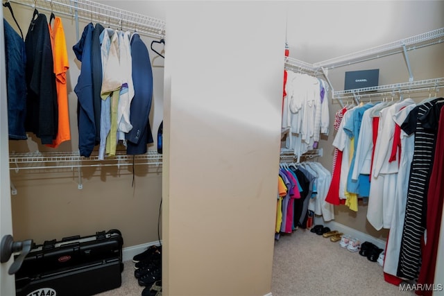 spacious closet with carpet floors