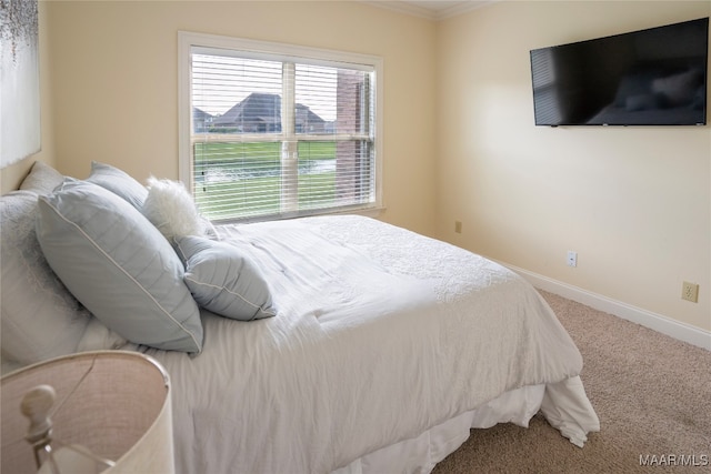 bedroom featuring carpet floors