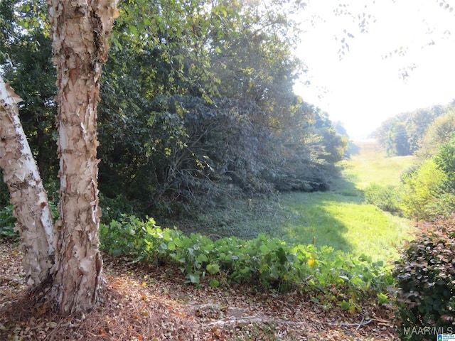 Listing photo 2 for LOT38 St Simons Way, Deatsville AL 36022