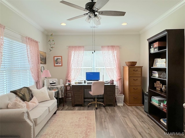 office area with ceiling fan, crown molding, and light hardwood / wood-style flooring