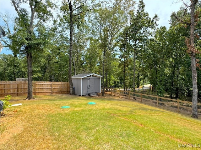 view of yard with a storage unit