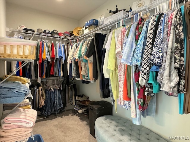 spacious closet featuring carpet floors