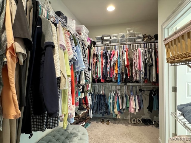 spacious closet featuring carpet floors