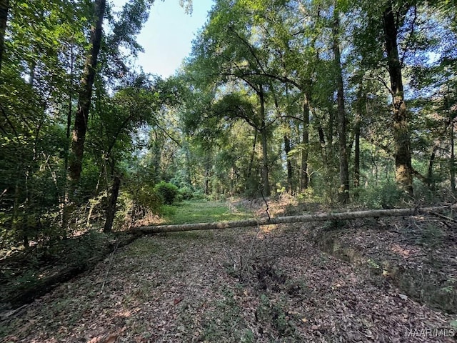 20 Northington St, Prattville, AL 36067 - photo 3