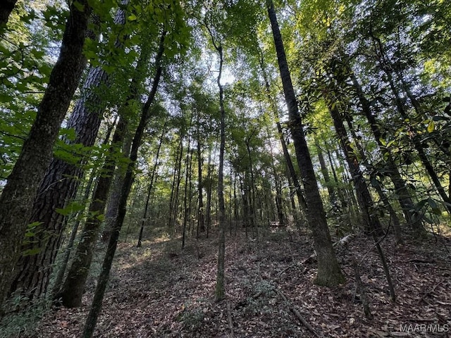20 Northington St, Prattville, AL 36067 - photo 5