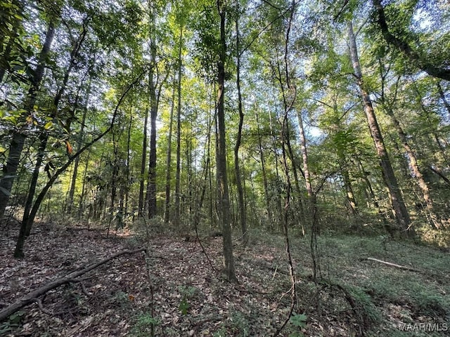 20 Northington St, Prattville, AL 36067 - photo 6