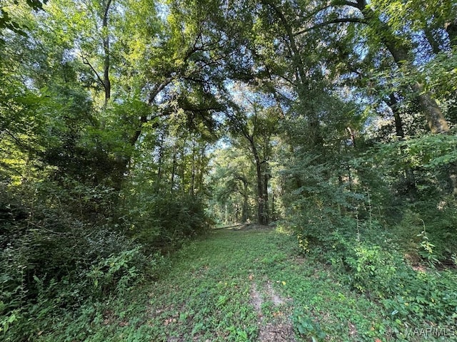 20 Northington St, Prattville, AL 36067 - photo 8
