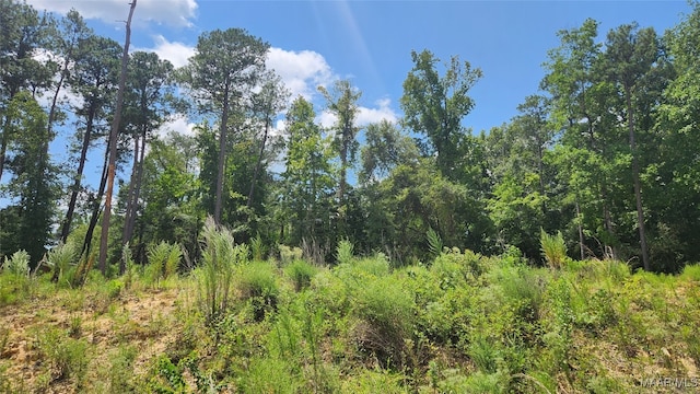 LOT2 Lakeshore Dr, Tuskegee AL, 36083 land for sale