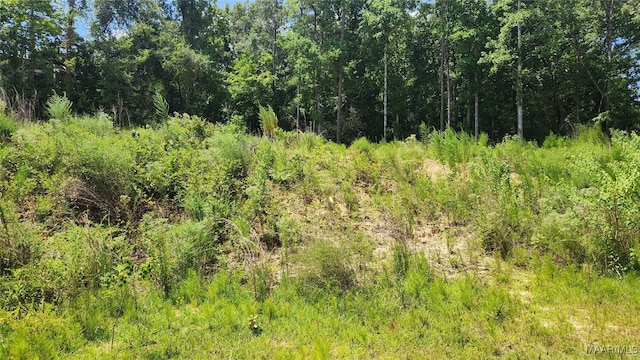 Listing photo 2 for LOT2 Lakeshore Dr, Tuskegee AL 36083