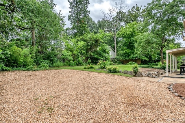 view of yard with a patio area