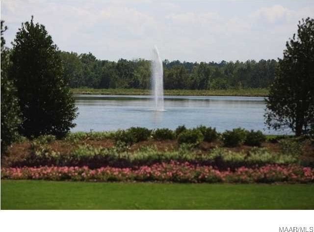 property view of water with a forest view