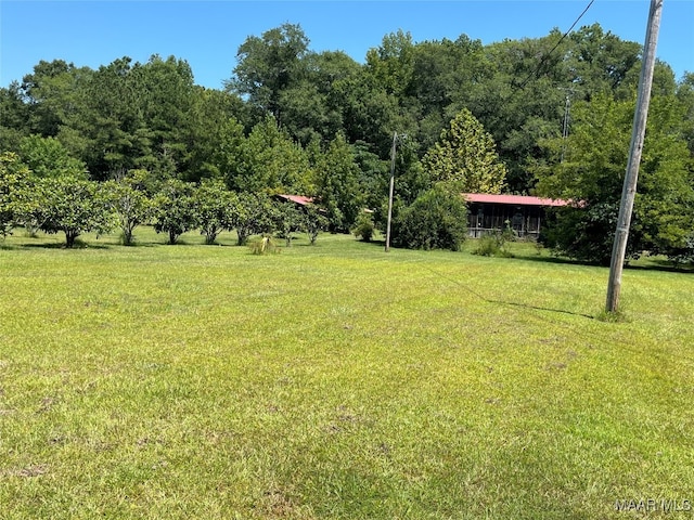 987 County Road 953rd Rd, Orrville AL, 36767 land for sale