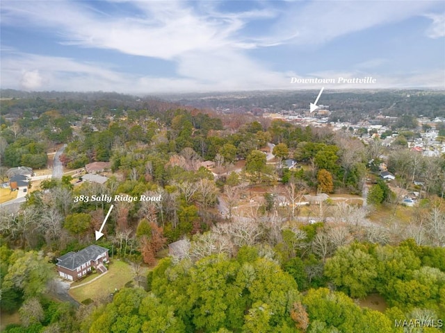 383 Sally Ridge Rd, Prattville, AL 36067 - photo 4