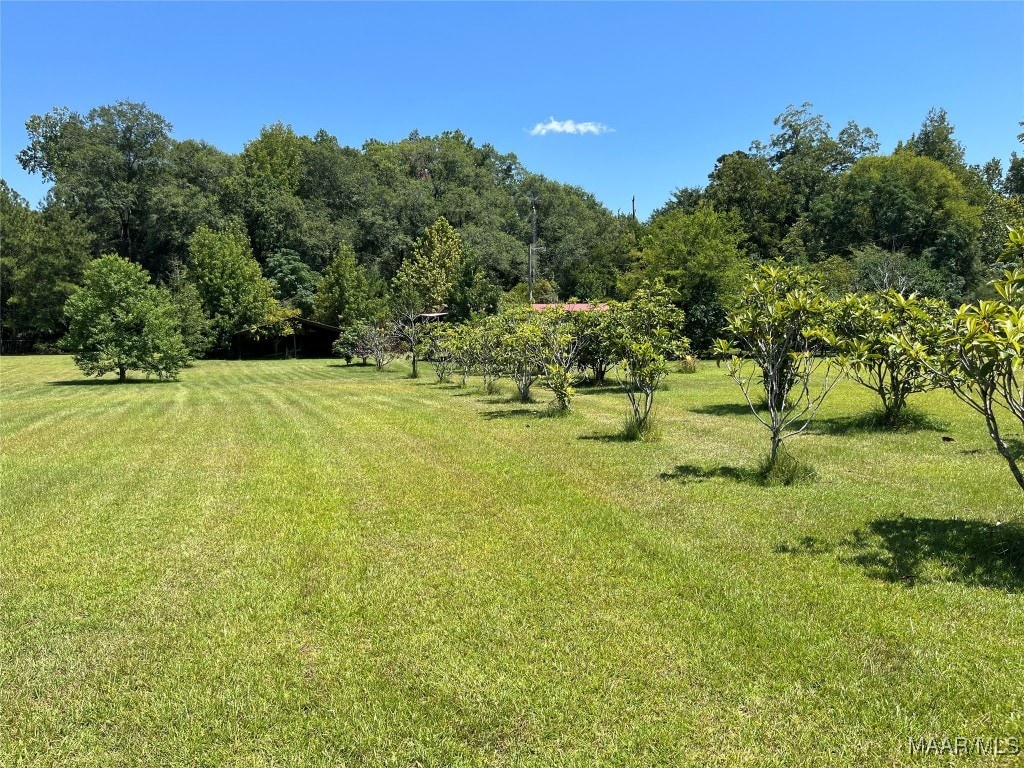 view of yard with a rural view