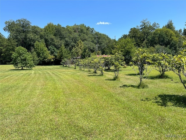 view of yard with a rural view