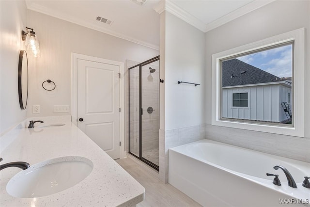 bathroom featuring crown molding, vanity, and independent shower and bath