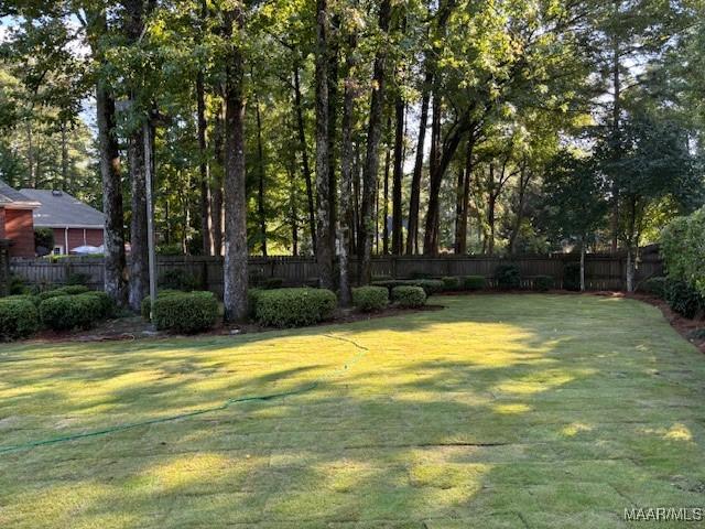 view of yard featuring a fenced backyard