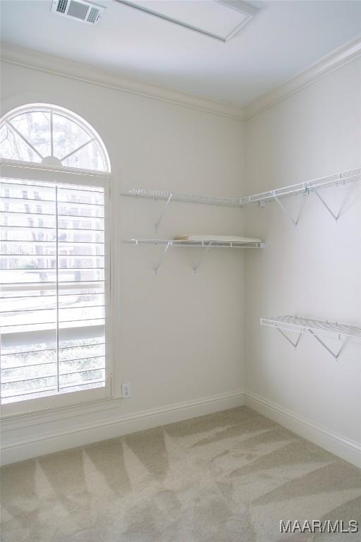 spacious closet with light carpet and visible vents