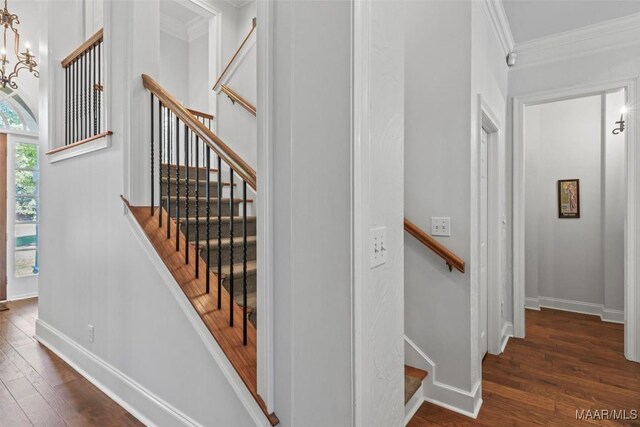 stairway featuring crown molding, an inviting chandelier, and hardwood / wood-style flooring