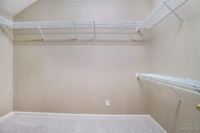 spacious closet with carpet floors