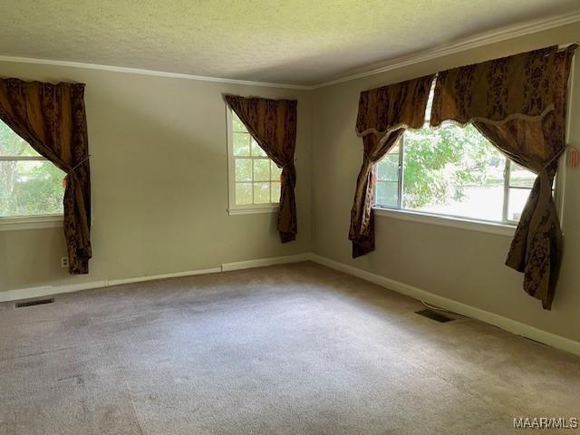 1949 Johnson St, Montgomery, AL 36110 - spare room with carpet, a textured ceiling, crown molding, and baseboards