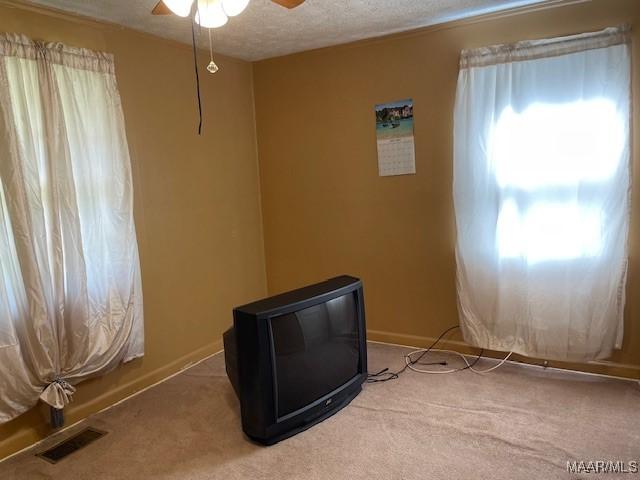 1949 Johnson St, Montgomery, AL 36110 - carpeted spare room featuring plenty of natural light, ceiling fan, baseboards, and a textured ceiling