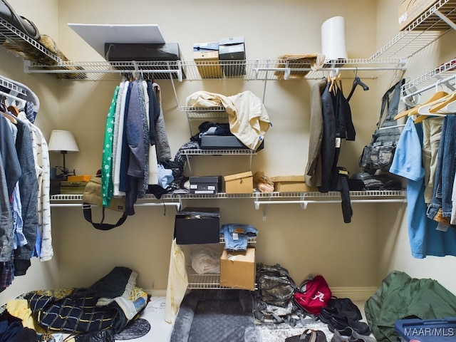 view of spacious closet