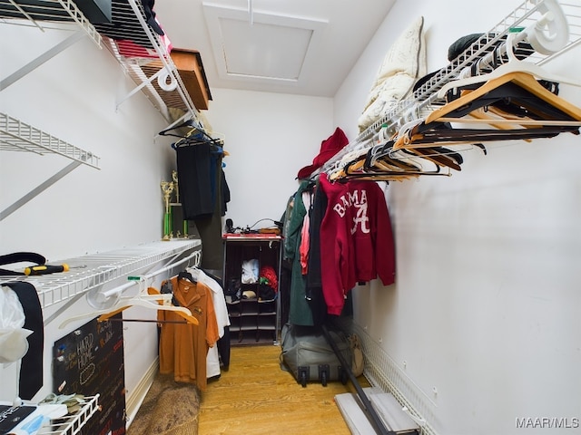 spacious closet featuring light hardwood / wood-style floors