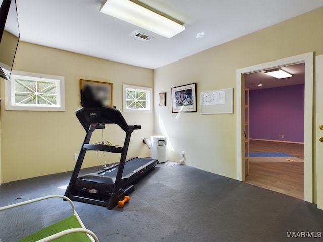 workout room with a healthy amount of sunlight and wood-type flooring